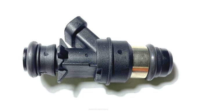 Repuestos De Auto La Plata inyector de combustible 17113582 2V4B2018