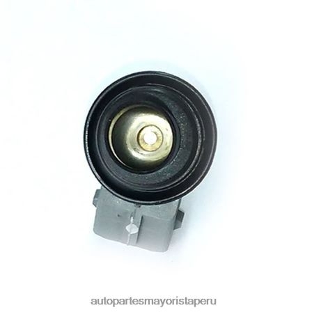 Repuestos Honda Motos Peru H0Z62V385 | inyector de combustible wp176 VW SKODA