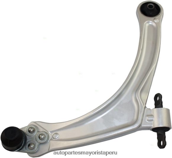 Repuestos De Motos Bajaj En Lima Peru 8L0FBH207 Chevrolet brazo de control 15787555