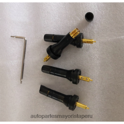 Repuestos Para Motos Peru Z66D002595 - Sensor de presión de neumáticos tpms rongwei 10718213